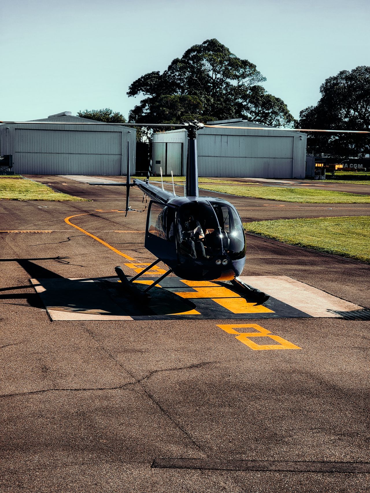 Robinson R66